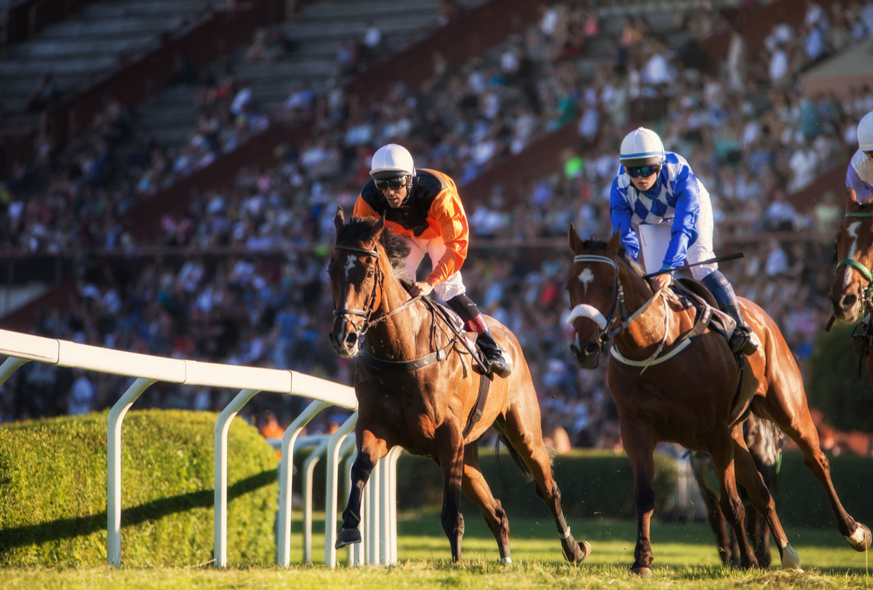 race horse betting