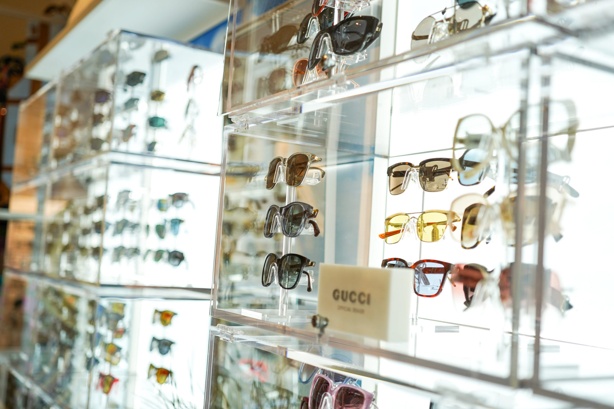 display case of gucci sunglasses