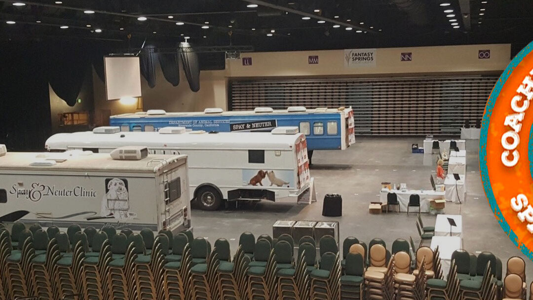 Fantasy Springs Resort Casino To Host Community Pet Clinic Offering Low-Cost Spay/Neuter Services, Vaccines, And More on June 11-12, 2025